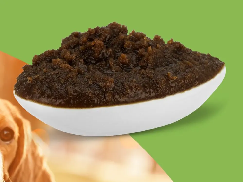 Dunkle Ulmenrinden Paste in einer weißen Schale (Herstellerfoto)
