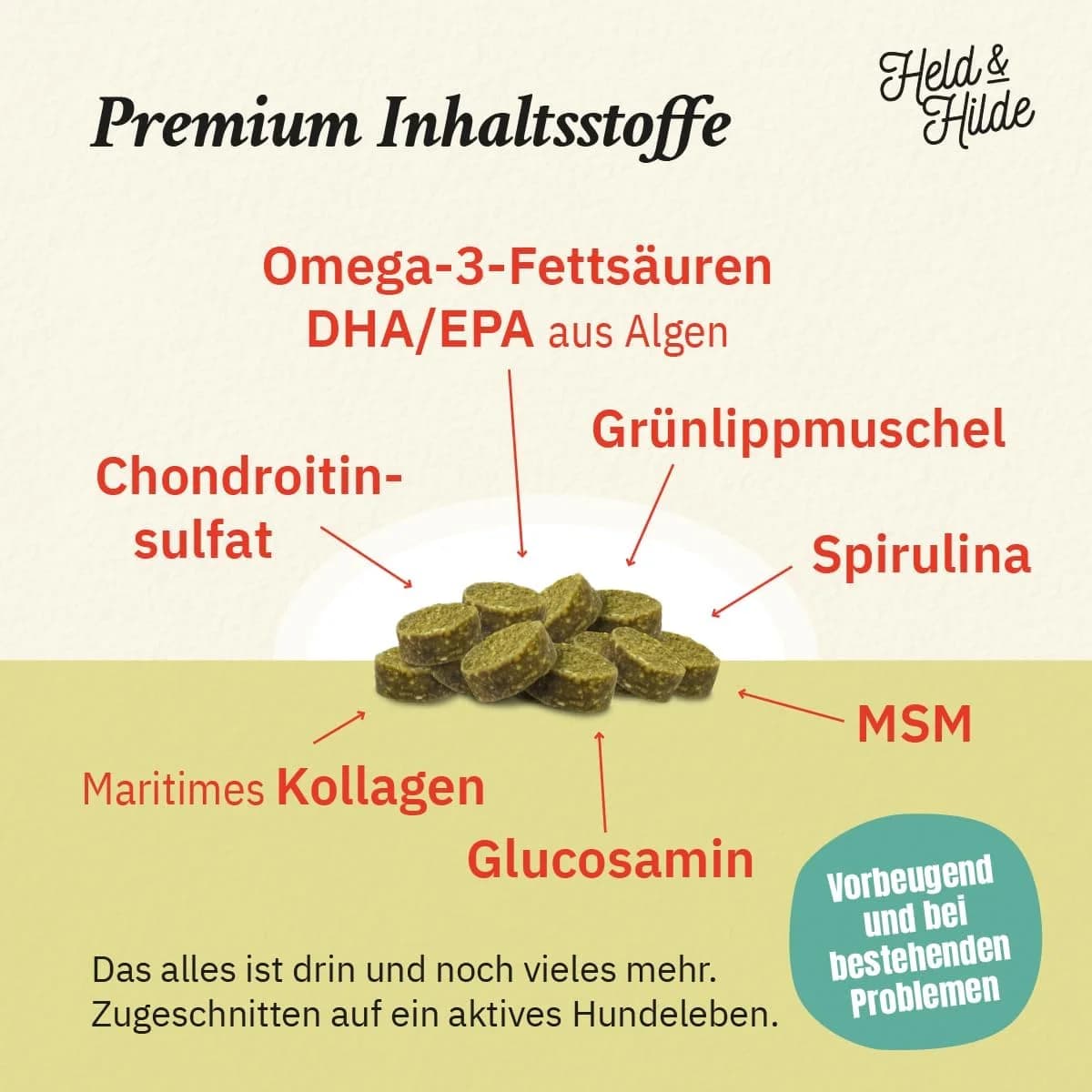 Herstellergrafik Premium Inhaltsstoffe der Held & Hilde Hüfte & Gelenke Snacks mit Omega-3 aus Algen, Grünlippmuschel, MSM, Glucosamin und Kollagen
