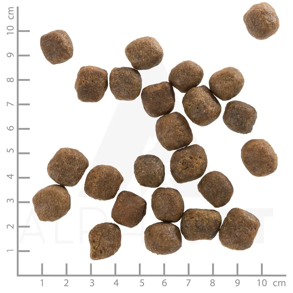 Kroketten Wolfsblut Cold River Adult, Forelle mit Süßkartoffeln, neben einem Zentimetermaß (Bild: Hersteller)