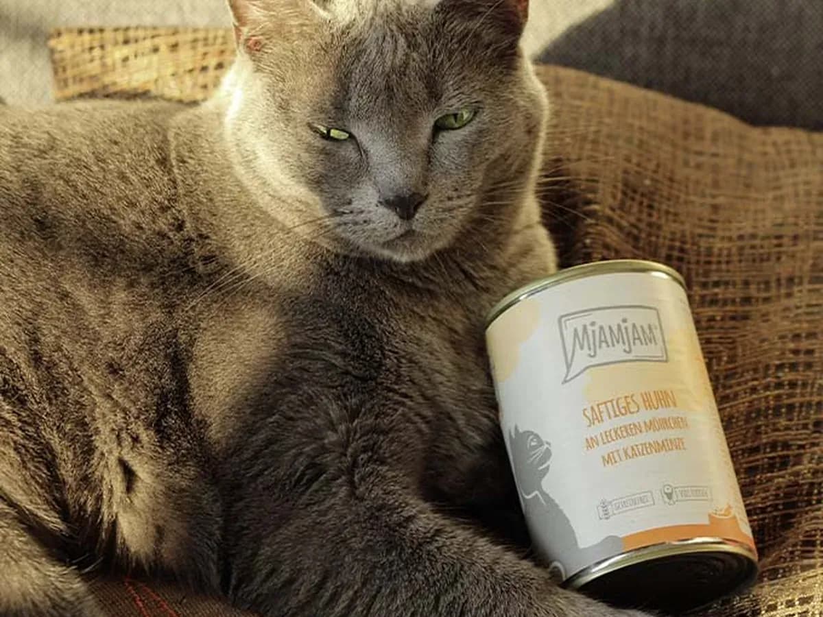 Katze liegt neben einer Dose MjAMjAM Huhn an Möhrchen (Bild: Hersteller)