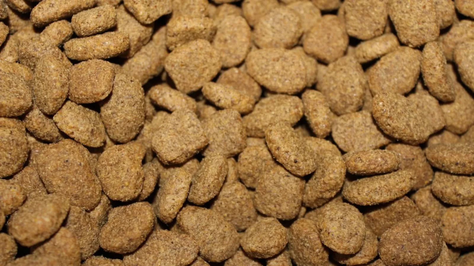 Nahaufnahme vieler brauner Trockenfutter-Kroketten für Hunde