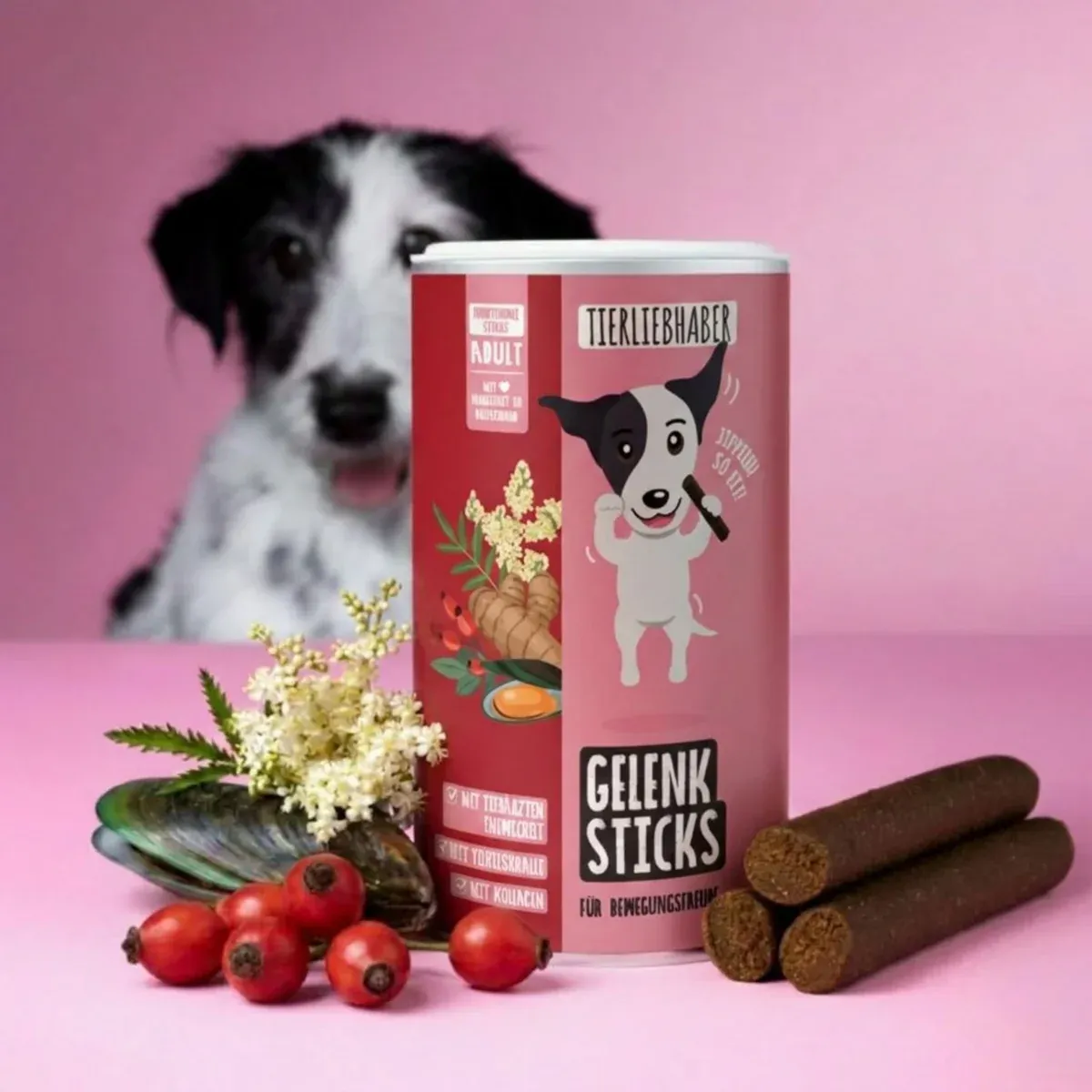 Dose der Tierliebhaber Gelenk Sticks mit einzelnen Sticks, Hagebutten und Kräutern, dahinter ein Hund (Herstellerfoto)